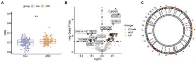 Integrated analysis of endoplasmic reticulum stress regulators’ expression identifies distinct subtypes of autism spectrum disorder